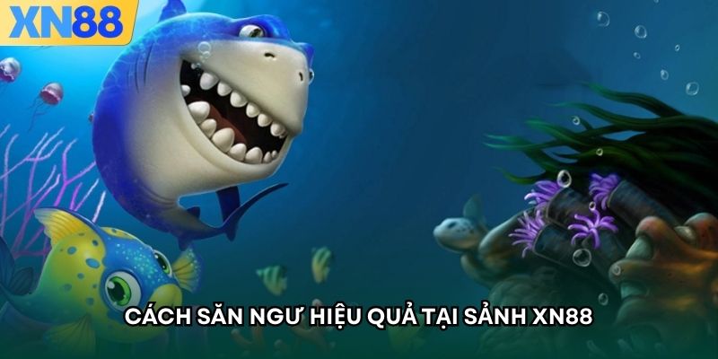 Cách săn ngư hiệu quả tại sảnh XN88