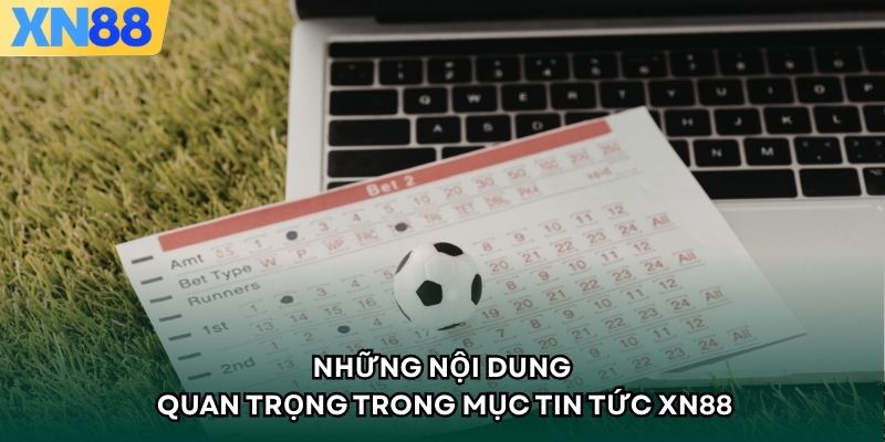 Những nội dung quan trọng trong mục tin tức