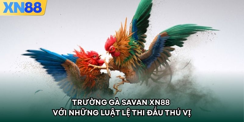 Trường Gà SAVAN XN88 Với Những Luật Lệ Thi Đấu Thú Vị